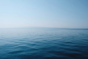 Яке найбільше море в світі