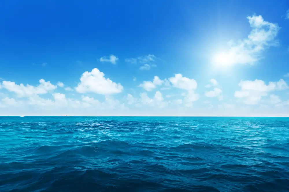 Яке найбільше море в світі