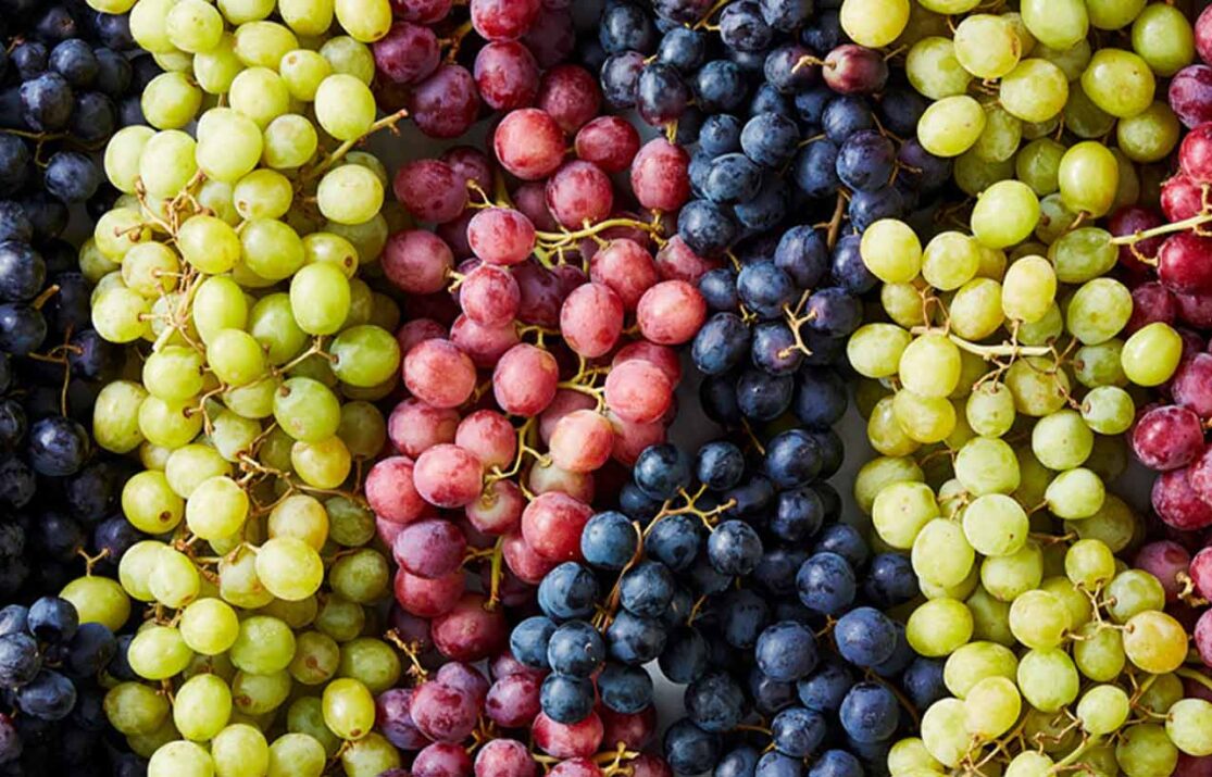 Секрети швидкого укорінення та активного росту винограду після посадки