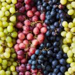 Секрети швидкого укорінення та активного росту винограду після посадки