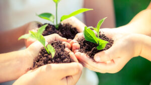 Отримання екологічних дозволів для бізнесу: чому важливо співпрацювати з профі