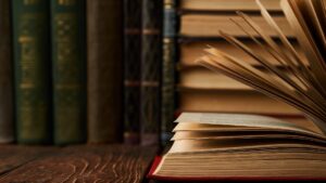 Операционные ритмы книжного магазина: что происходит за кулисами